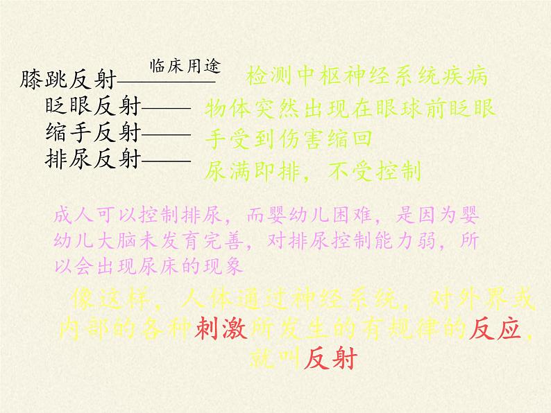 2020—2021学年人教版七年级生物下册课件-4.6.3 神经调节的基本方式第7页