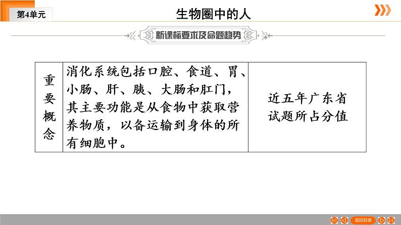 2021年中考广东专用生物一轮知识点复习第4单元 第11章　人体的营养 课件03