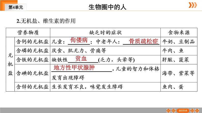 2021年中考广东专用生物一轮知识点复习第4单元 第11章　人体的营养 课件08