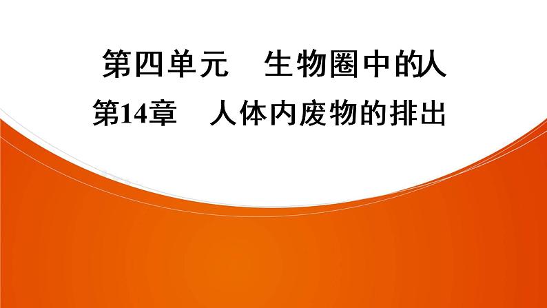 2021年中考广东专用生物一轮知识点复习第4单元 第14章　人体内废物的排出　  课件01