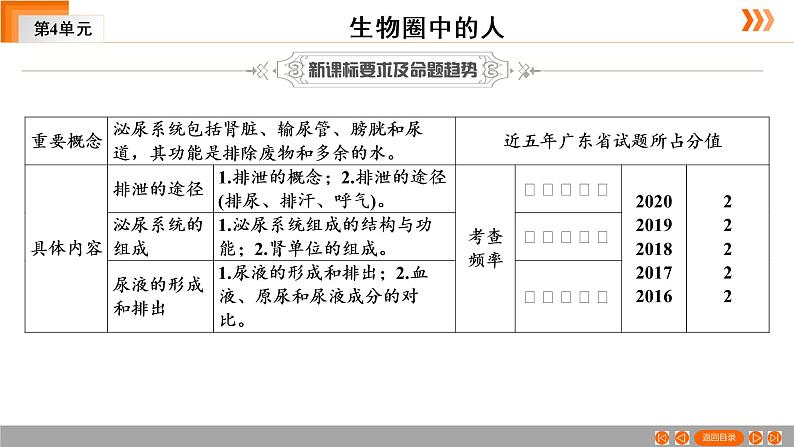 2021年中考广东专用生物一轮知识点复习第4单元 第14章　人体内废物的排出　  课件03