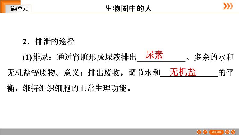 2021年中考广东专用生物一轮知识点复习第4单元 第14章　人体内废物的排出　  课件06