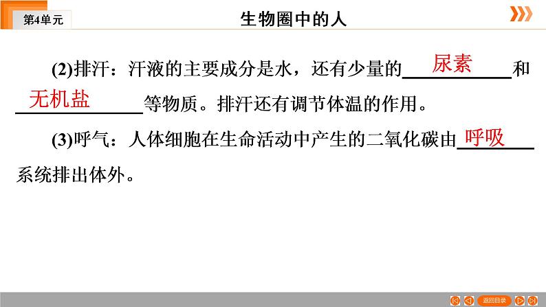 2021年中考广东专用生物一轮知识点复习第4单元 第14章　人体内废物的排出　  课件07