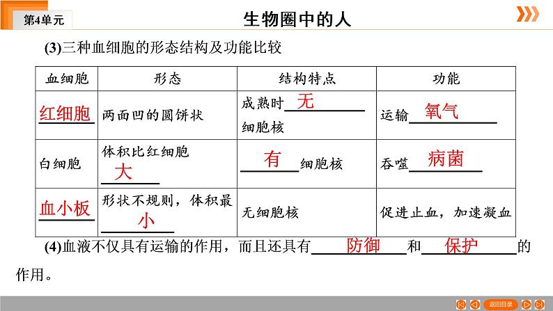 2021年中考广东专用生物一轮知识点复习第4单元 第13章　人体内物质的运输　课件08