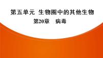 2021年中考广东专用生物一轮知识点复习第5单元 第20章　病毒　  课件