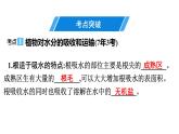 2021中考广东专用生物知识点一轮复习第三单元第三章　绿色植物与生物圈的水循环 课件