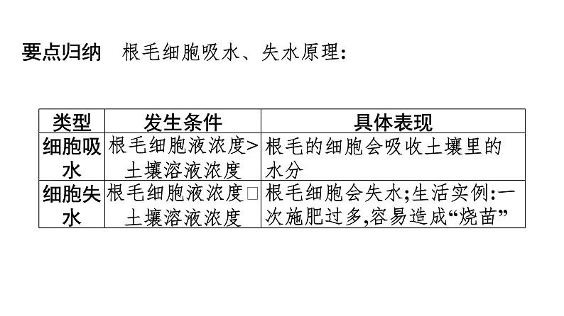 2021中考广东专用生物知识点一轮复习第三单元第三章　绿色植物与生物圈的水循环 课件第5页