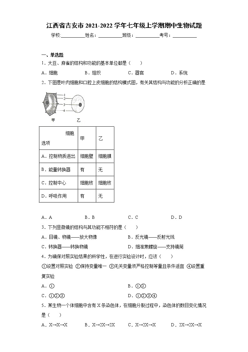 江西省吉安市2021-2022学年七年级上学期期中生物试题（word版 含答案）01