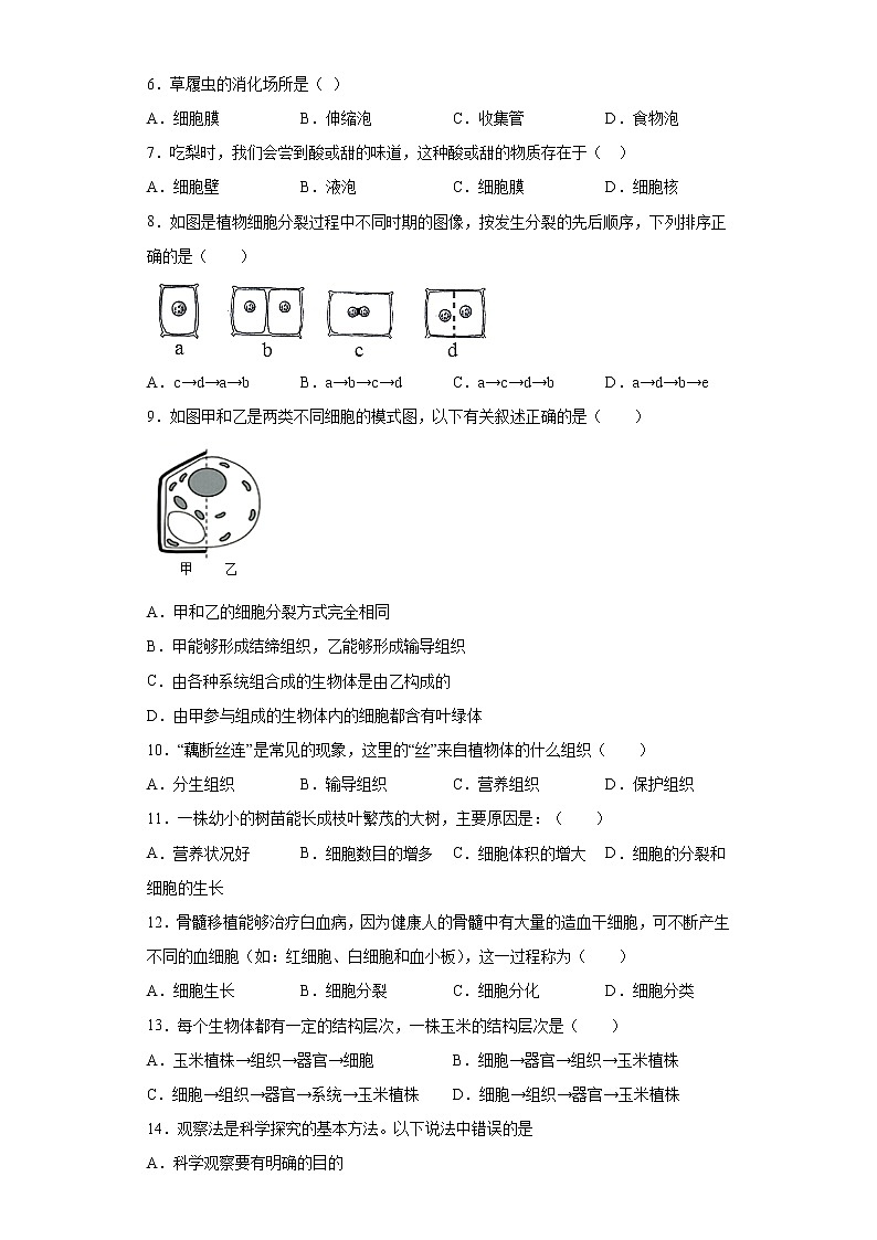 江西省吉安市2021-2022学年七年级上学期期中生物试题（word版 含答案）02