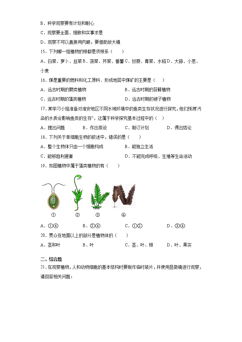 江西省吉安市2021-2022学年七年级上学期期中生物试题（word版 含答案）03