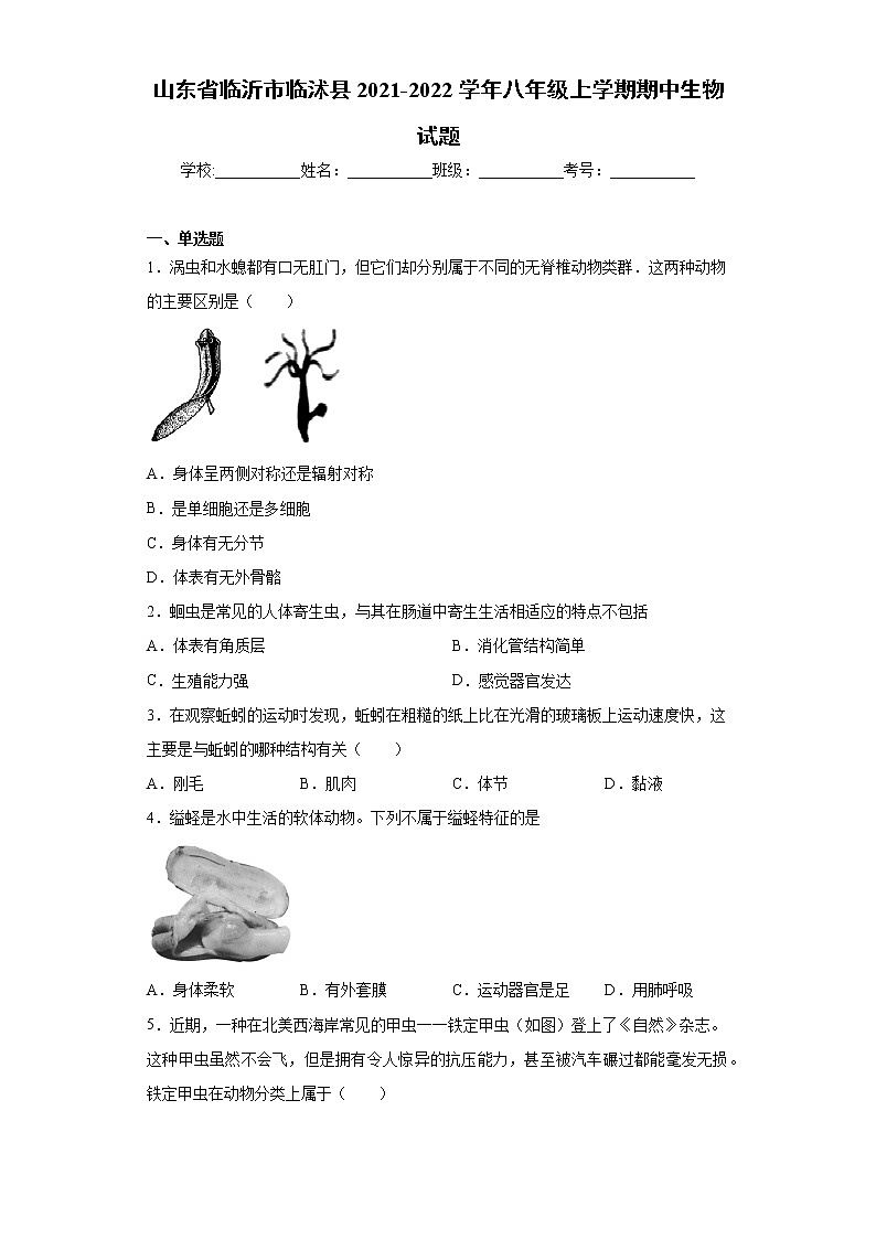 山东省临沂市临沭县2021-2022学年八年级上学期期中生物试题（word版 含答案）第1页