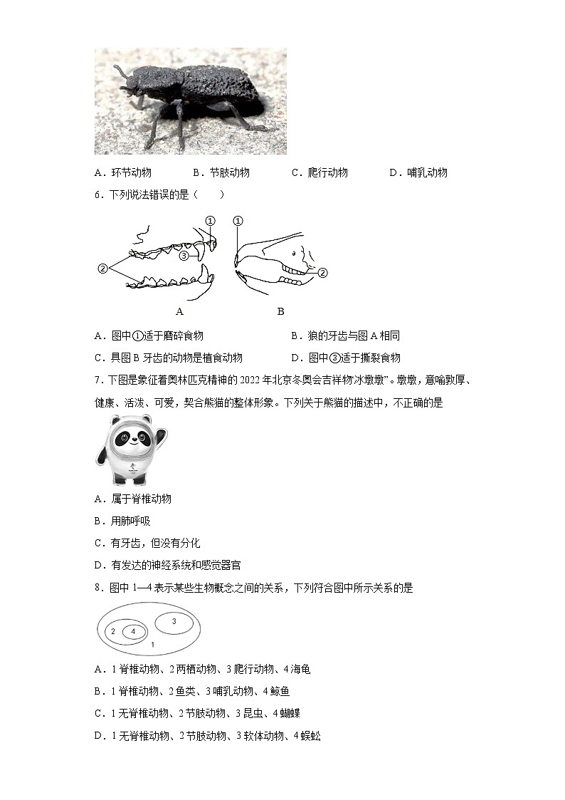 山东省临沂市临沭县2021-2022学年八年级上学期期中生物试题（word版 含答案）第2页