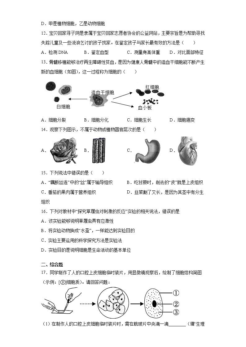 广西桂林市2021-2022学年七年级上学期期中生物试题（word版 含答案）03