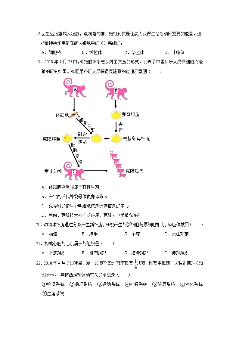 陕西省西安市长安区2021-2022学年上学期七年级期中生物试卷（word版 含答案）第3页