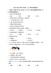 陕西省西安市高陵区2021-2022学年上学期八年级期中生物试卷（word版 含答案）