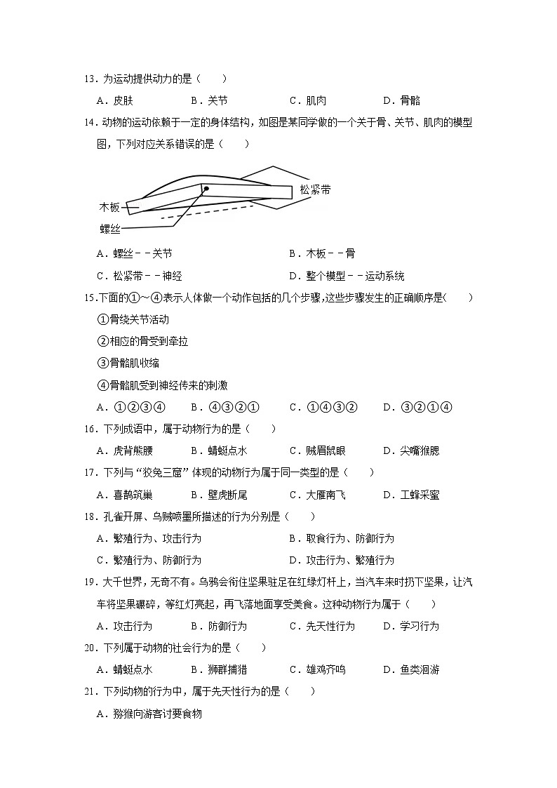 陕西省西安市高陵区2021-2022学年上学期八年级期中生物试卷（word版 含答案）第3页