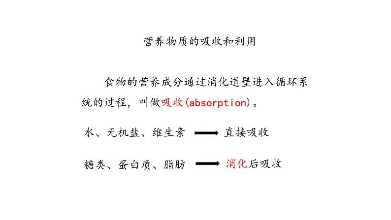 营养物质的吸收和利用PPT课件免费下载04