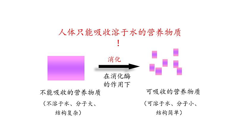 营养物质的吸收和利用PPT课件免费下载05