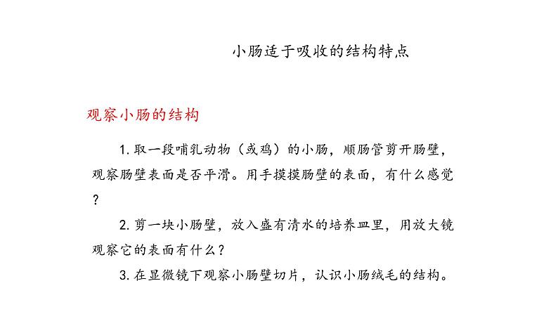 营养物质的吸收和利用PPT课件免费下载08