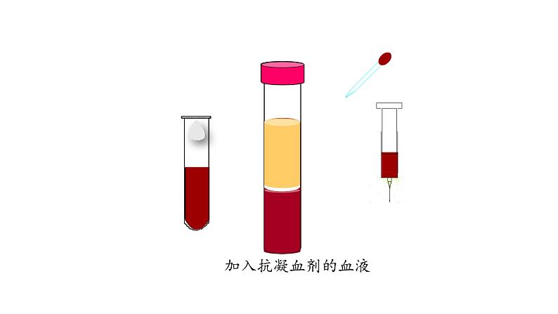 课件2.1.1 血液06