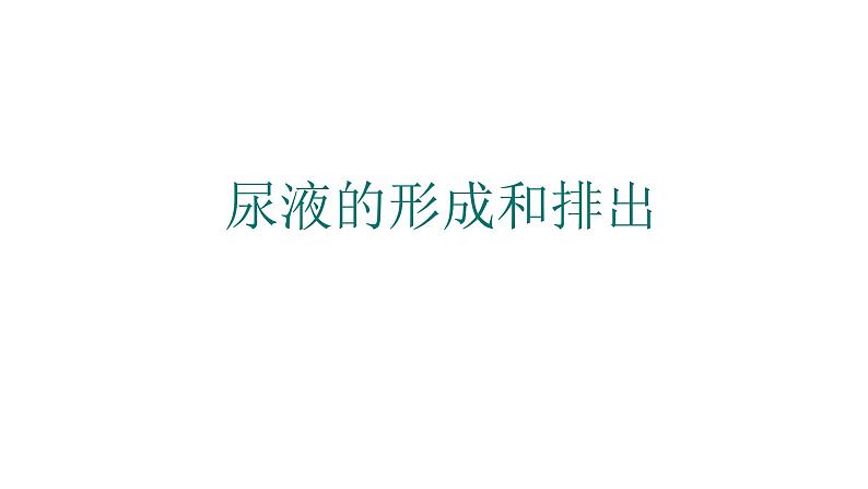 尿液的形成PPT课件免费下载01