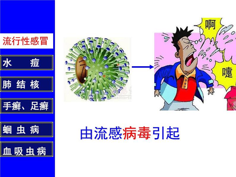 疾病与预防PPT课件免费下载06