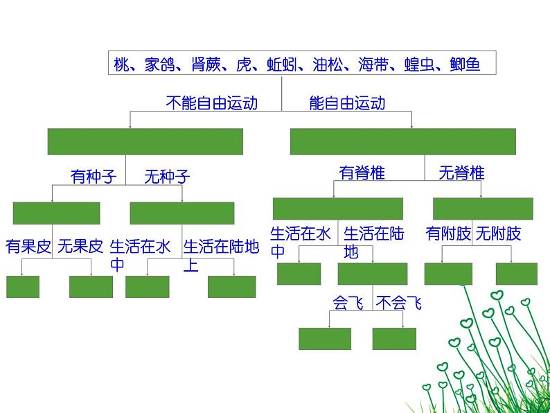 冀教版七年级上册 生物 课件 1.5.1尝试对生物进行分类07