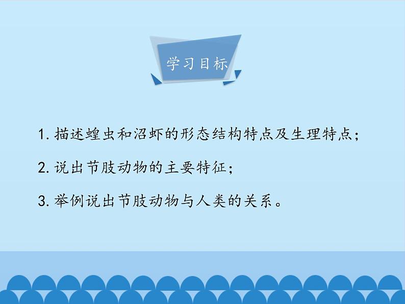 冀教版七年级上册 生物 课件 1.4.5节肢动物04