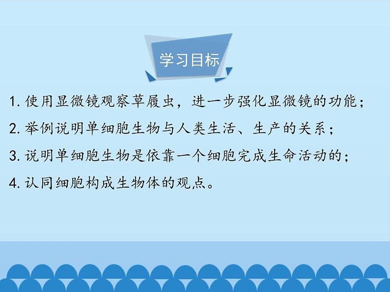 冀教版七年级上册 生物 课件 1.2.4单细胞生物体04