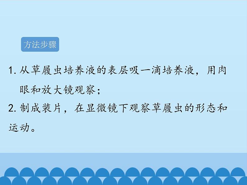 冀教版七年级上册 生物 课件 1.2.4单细胞生物体07