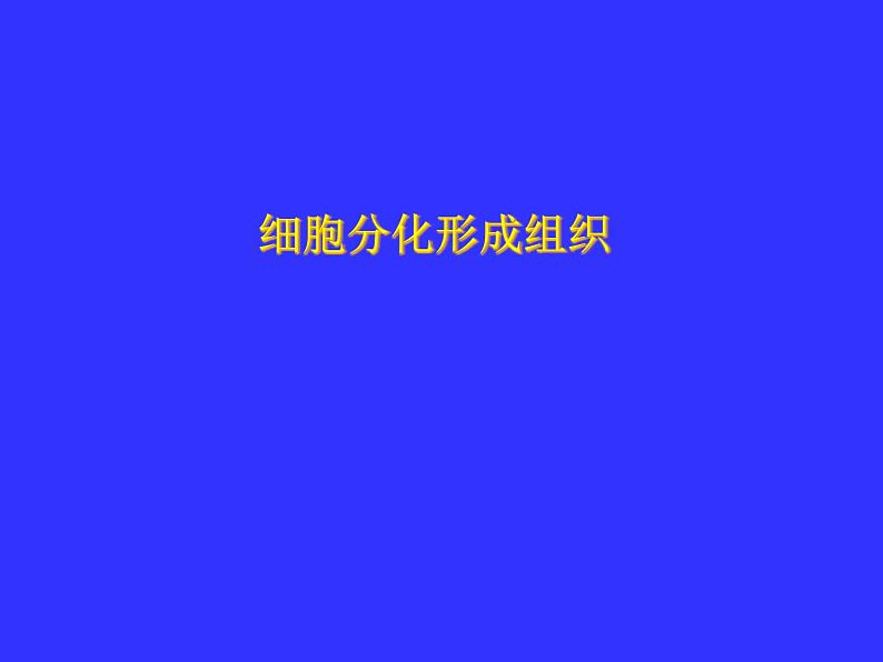 冀教版七年级上册 生物 课件 1.2.2细胞分化形成组织01