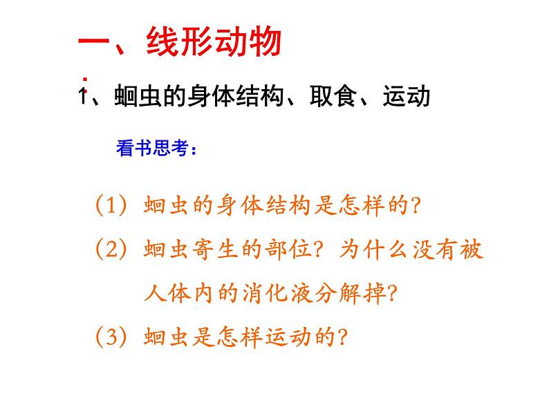 线形动物和环节动物PPT课件免费下载03