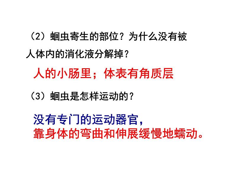 线形动物和环节动物PPT课件免费下载05