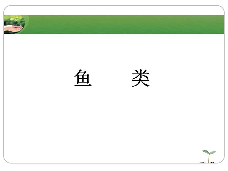 冀教版七年级上册 生物 课件 1.4.6鱼类第1页