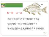 冀教版七年级上册 生物 课件 1.4.6鱼类
