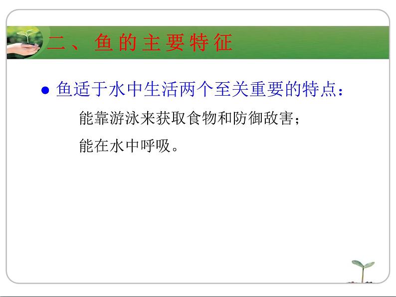 冀教版七年级上册 生物 课件 1.4.6鱼类第6页