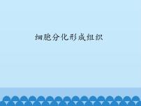 生物七年级上册第二节 细胞分化形成组织教学ppt课件