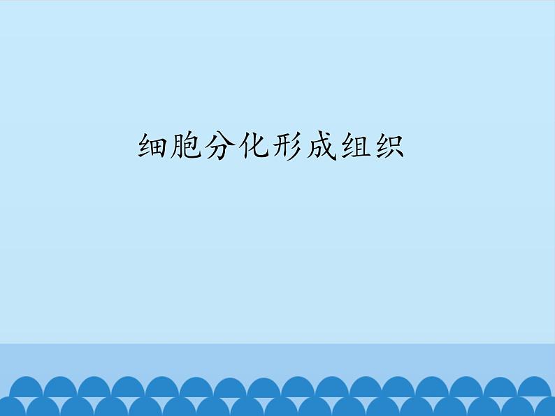 冀教版七年级上册 生物 课件 1.2.2细胞分化形成组织01