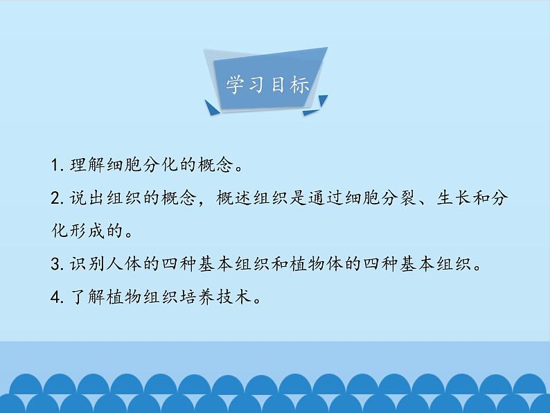 冀教版七年级上册 生物 课件 1.2.2细胞分化形成组织04