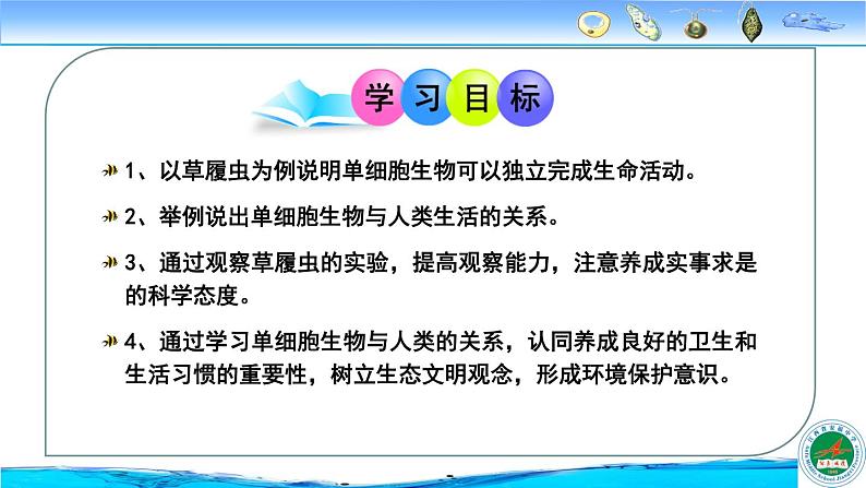 冀教版七年级上册 生物 课件 1.2.4《单细胞生物体》02