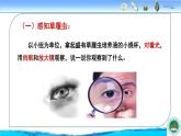 冀教版七年级上册 生物 课件 1.2.4《单细胞生物体》