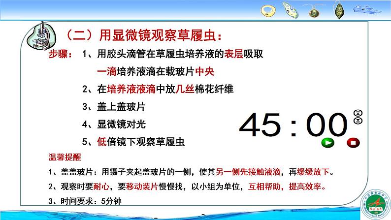 冀教版七年级上册 生物 课件 1.2.4《单细胞生物体》05