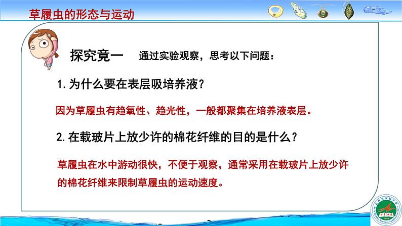 冀教版七年级上册 生物 课件 1.2.4《单细胞生物体》06