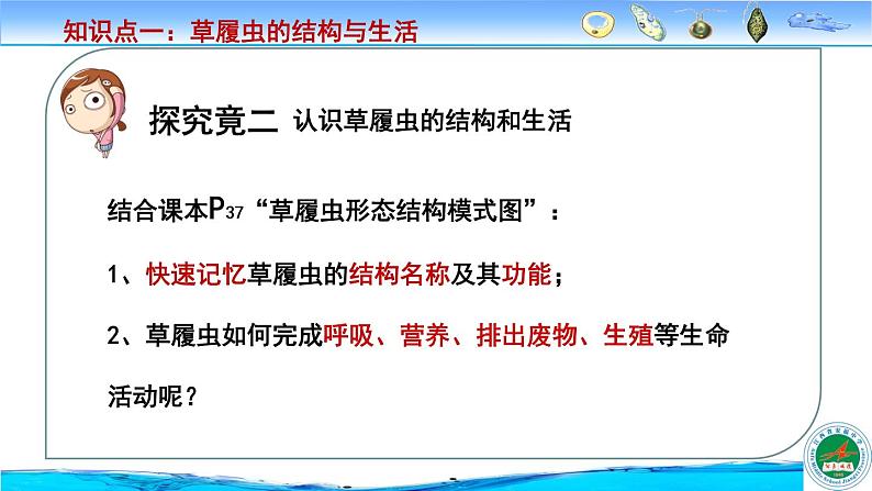 冀教版七年级上册 生物 课件 1.2.4《单细胞生物体》08