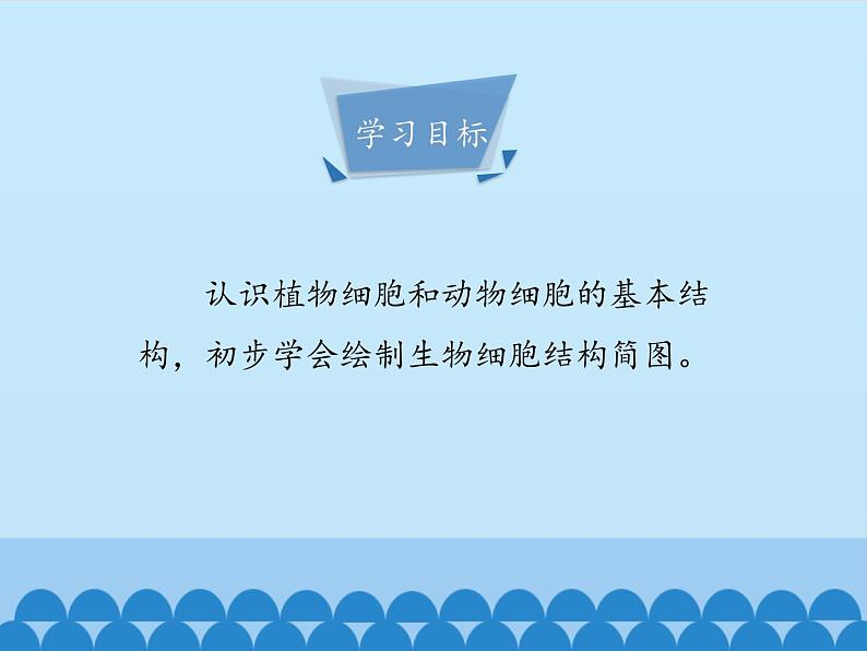 细胞的结构PPT课件免费下载04