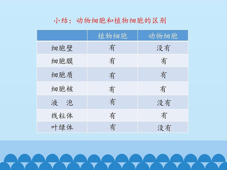 细胞的结构PPT课件免费下载06