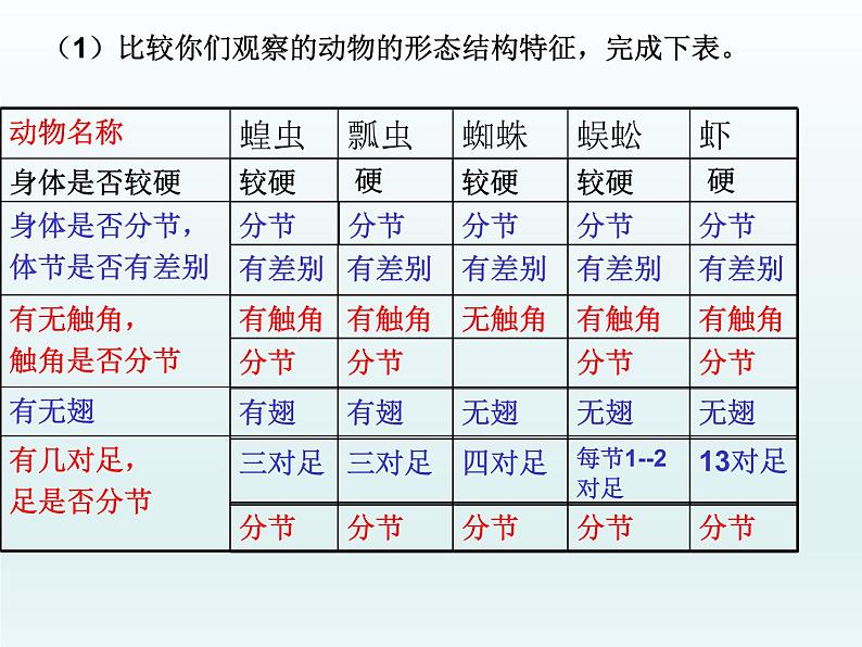 节肢动物PPT课件免费下载06