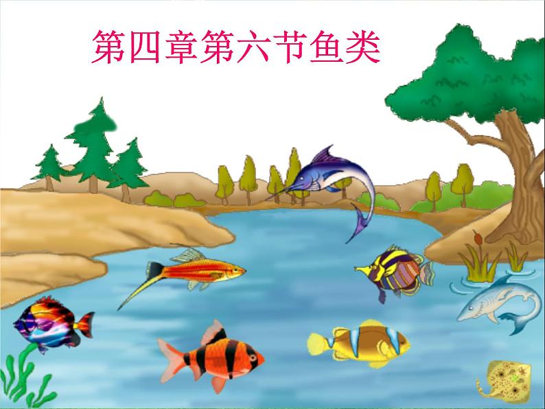 鱼类PPT课件免费下载03