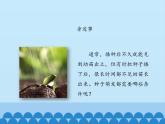 冀教版八年级上册 生物 课件 3.1.2种子萌发的条件