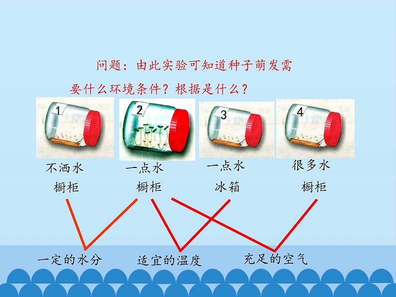 冀教版八年级上册 生物 课件 3.1.2种子萌发的条件08